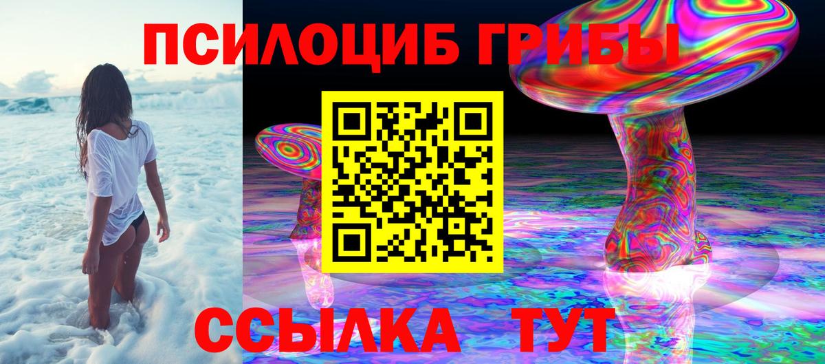 Галлюциногенные грибы мицелий  Вход с VPN  купить  цена  Краснодар 